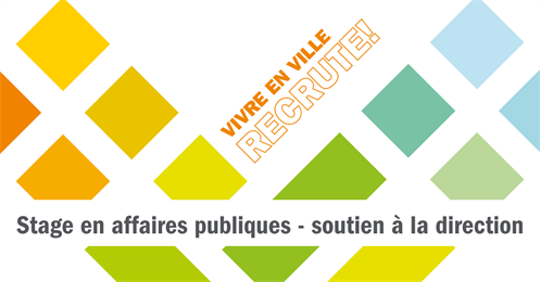 Offre Stage Decembre 2024 Affaires Publiques